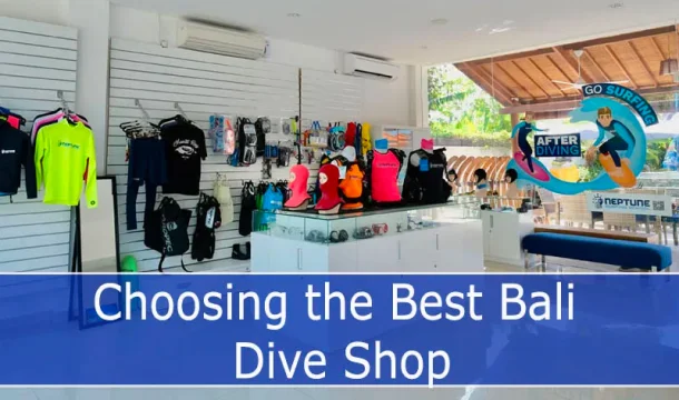 Selecting the Finest Bali Dive Shop for Unforgettable Underwater Adventures